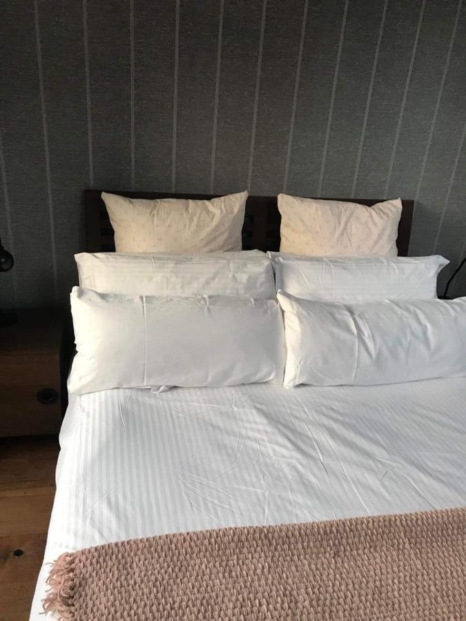Centre Of Dingle Town - Luxury Holiday Apartment Eksteriør bilde